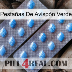 Pestañas De Avispón Verde viagra4